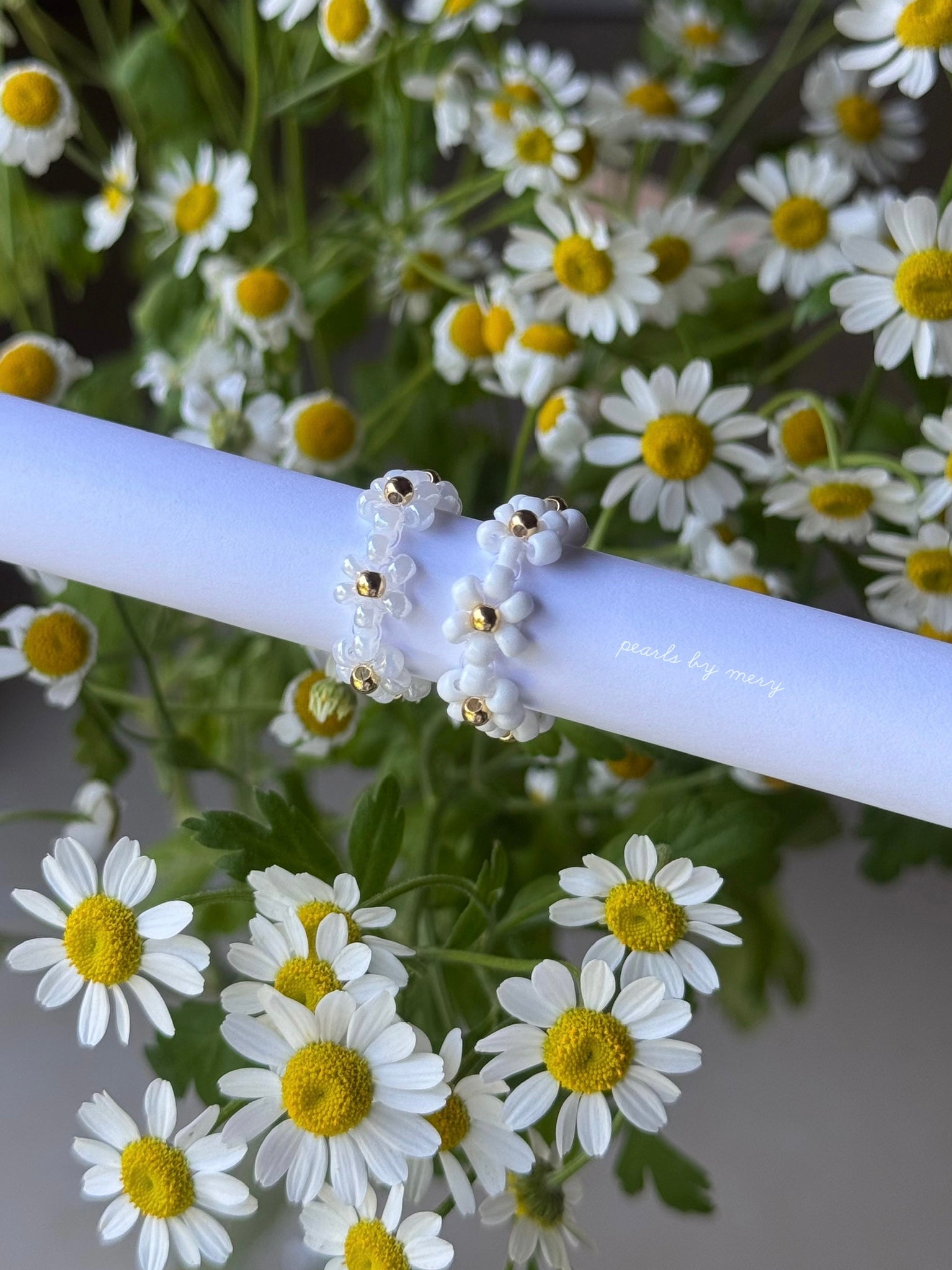 Gänseblümchenring 🌼
