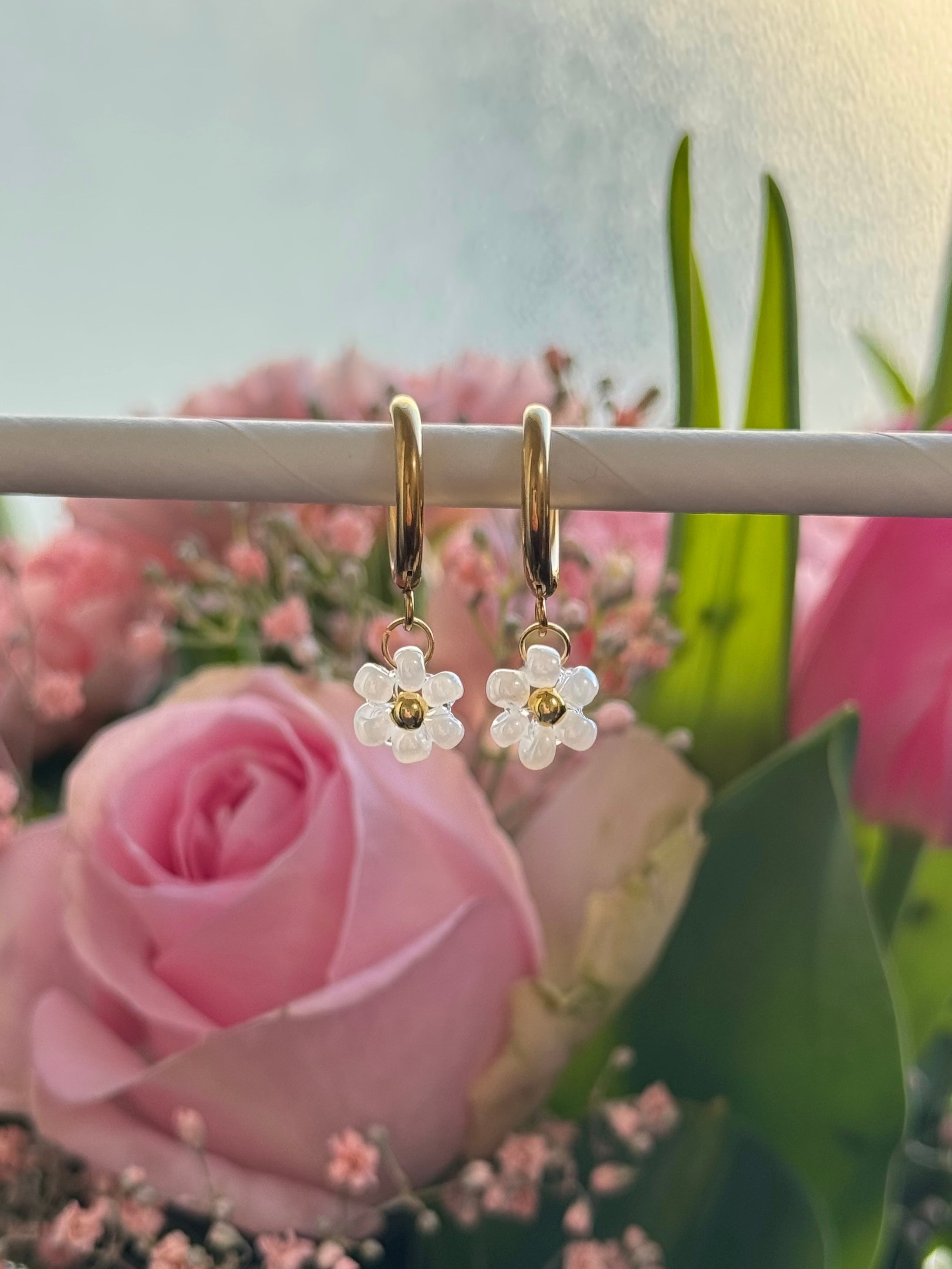 Gänseblümchen Ohrringe 🌼